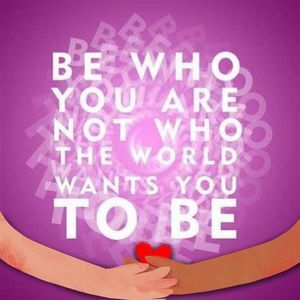 Meet your Posher, Ellen